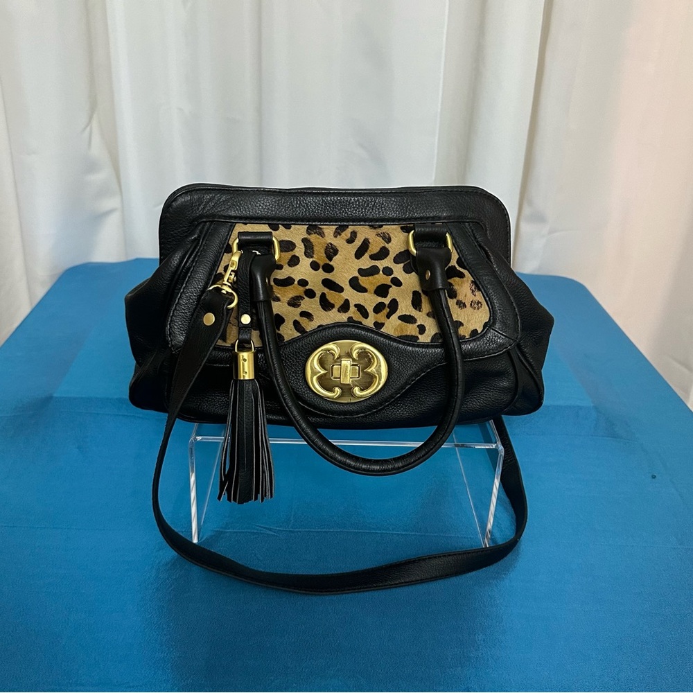 Black and Tan Designer Women's Bag